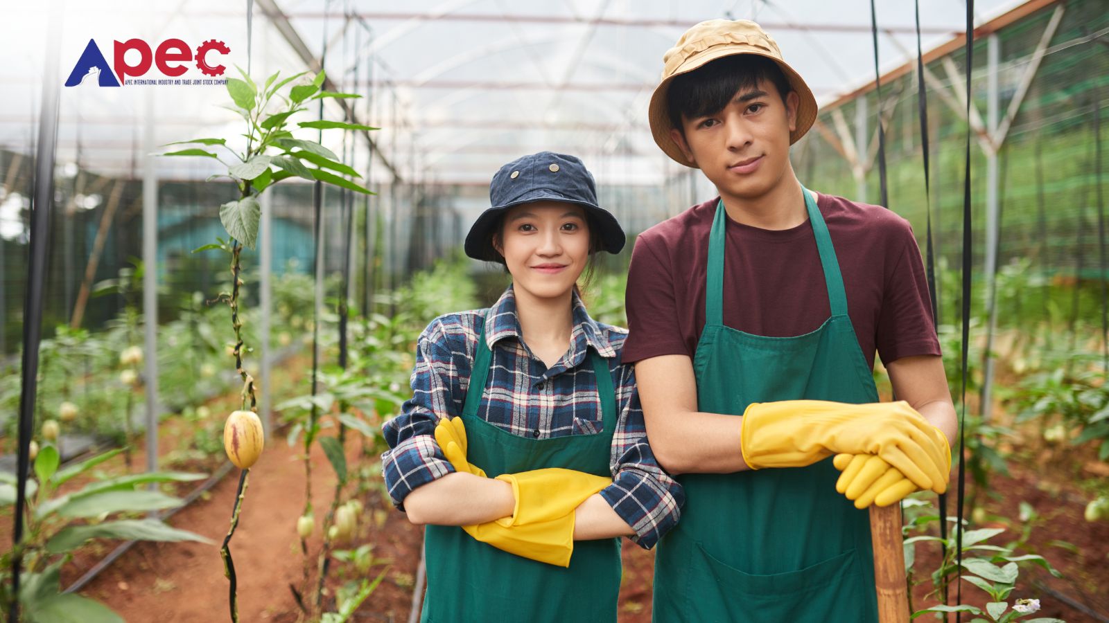 Lao động Việt Nam có nhiều lợi thế khi làm việc ở Nhật Bản